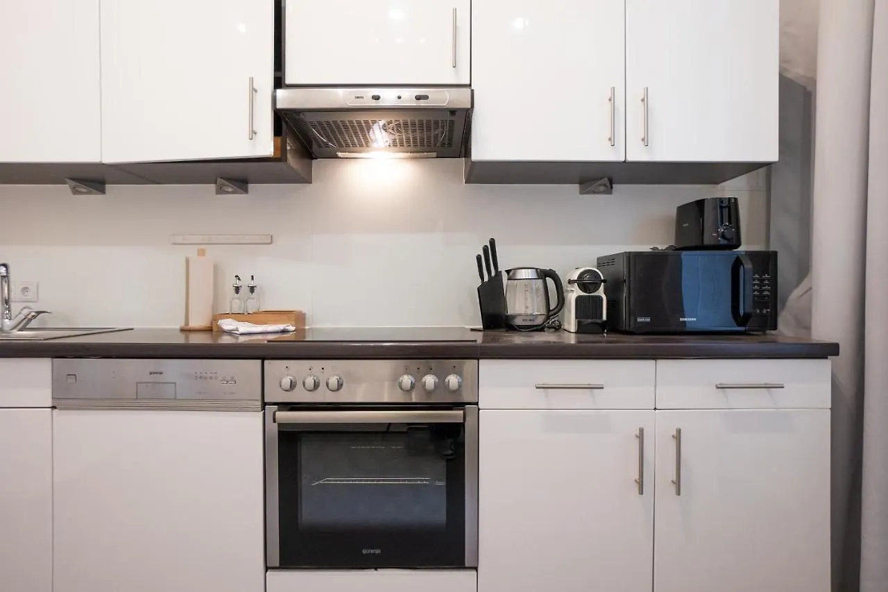 Spacious 110М2 Flat In The City Center Wien 0*,