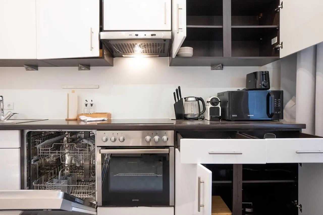 Spacious 110М2 Flat In The City Center Wien Apartment
