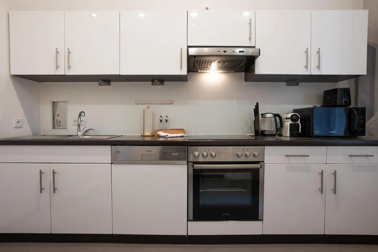 Spacious 110М2 Flat In The City Center Wien