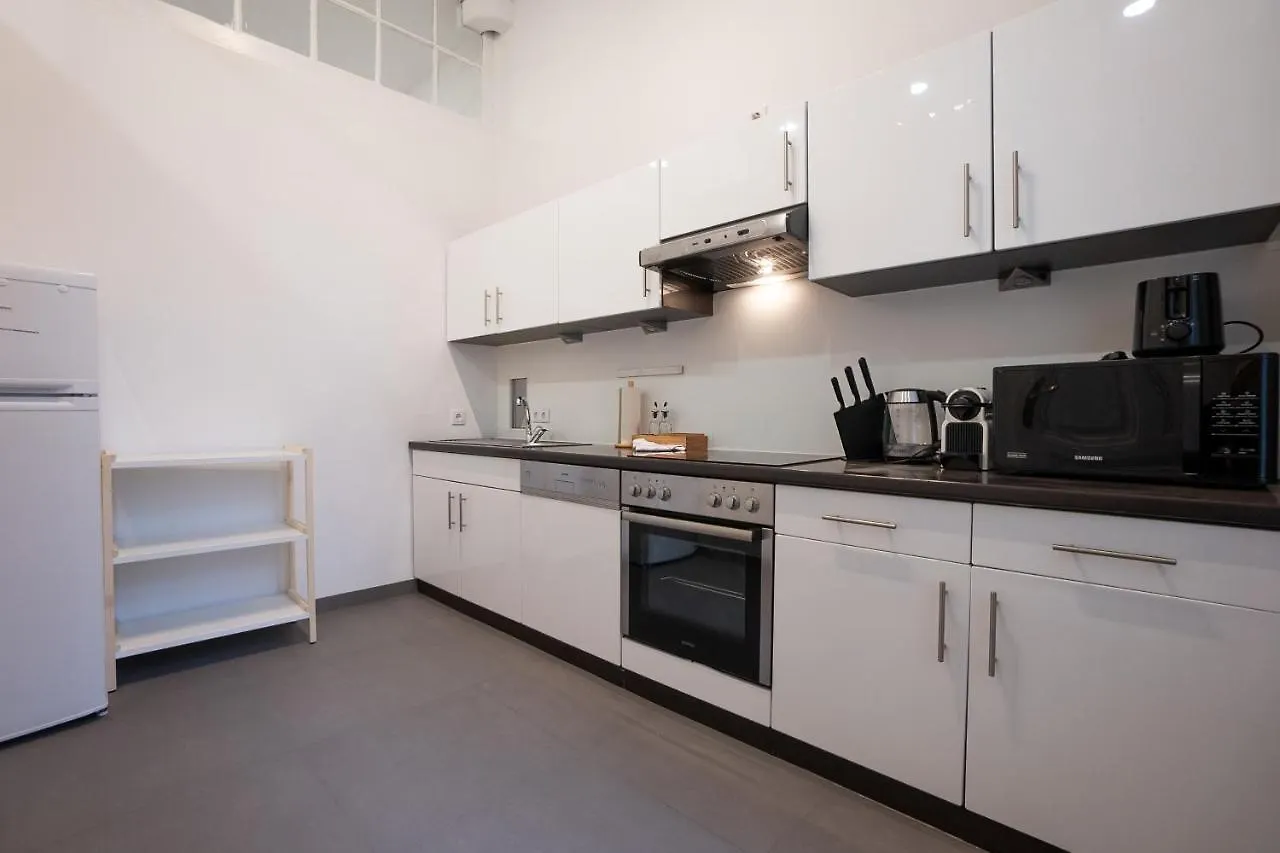 Spacious 110М2 Flat In The City Center Wien 0*,  Österreich